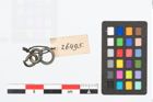 Foto von Bronzering (NHMW-PRAE-026495)